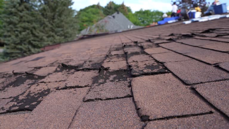 Best Asphalt Shingle Roofing  in Independence, OR